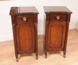 Pair Scottish Regency Bedside Chests Cabinets Tables Nightstands