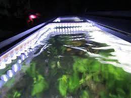 saltwater aquarium lights in Lighting