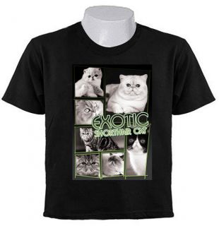 PERSIAN EXOTIC SHORTHAIR CAT T SHIRTS Collage cats Kittens Domestic 