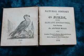 Miniature Antique book. Natural History of 48 Birds Alfred Mills 