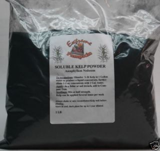 Maxicrop Soluble Seaweed Powder Concentrate 10.7 oz jar