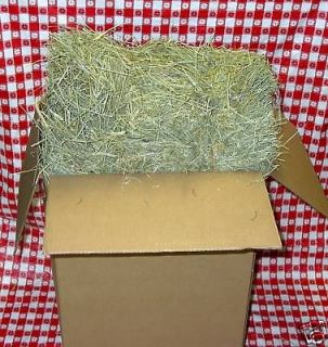 25 lb. PREMIUM  1st Cut Timothy Rabbit HAY IN A BOX