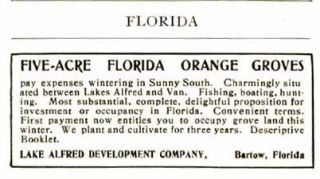 1909 Advertisement for the Sale of Lakes Afred & Van Florida Orange 