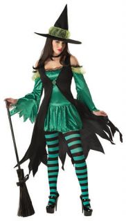 Women Wizard of Oz Emerald Witch Sexy Halloween Costume