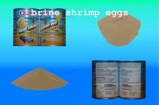 BRINE SHRIMP EGGS 100g GSL GREAT RESULTS BABY FRY FISH FOOD FOR 