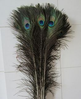 optional ！New real Natural color Peacock Tail Feathers 10 12 inches 
