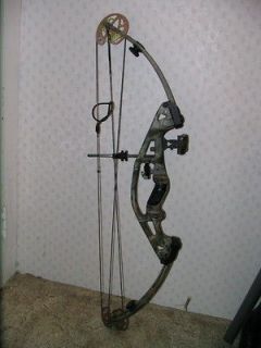hoyt contender compound bow