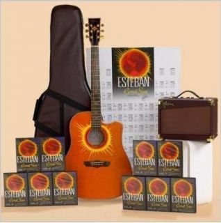   SUN LIMITED EDITION STEEL STRINGS 30 PC GUITAR AMPLIFIER CASE DVDS
