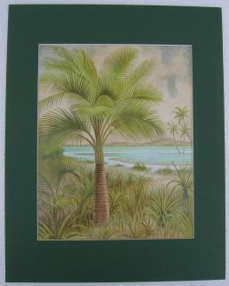 palm tree pictures in Home & Garden