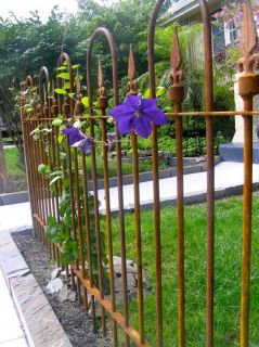 Connecting Wrought Iron Fence with New Style Finial