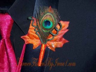   Peacock Feather BOUTONNIERE Fall colors Corsages available to match