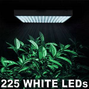   225 LED Grow Light Panel Blue White 13w 12 Aquarium Coral Reef Lamp
