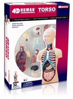 Human Torso Classroom Anatomy Model Set #26051 NEW