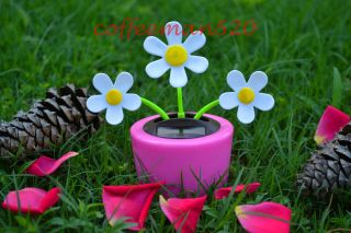 New Solar Power Flip Flap Dancing Toy Flower Cute Pink Daisies Flower
