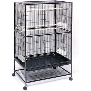   Products Wrought Iron Flight Cage   Prevue F040 Cage for small birds