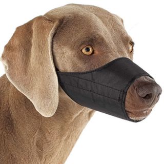 dog muzzle xl