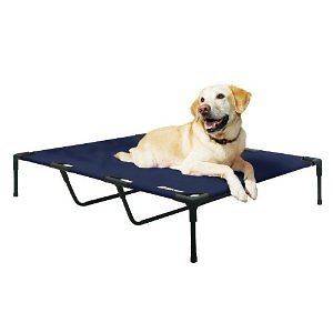 raised dog bed in Beds