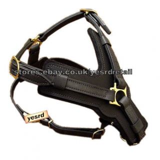 Leather Dog Harness in Harnesses