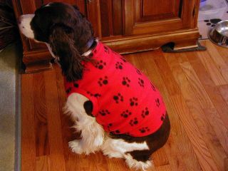BLACK PAWS ON RED DOG SWEATER up to size XXL