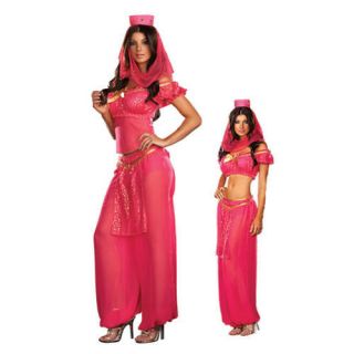 ARABIAN Nights GENIE Ladies Fancy Dress Up Hen COSTUME