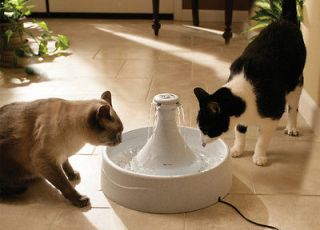 Drinkwell 360 Pet Fountain in Dog Supplies