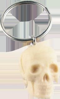 Anatomy Keychain/Ring ​Skull