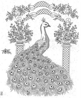   Embroidery Pattern 895 Elegant Peacock for Bedspread or Picture 1960s
