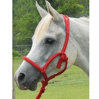 Horse Poly Rope Shipping Halter w Attached 6ft Lead   2 Colors