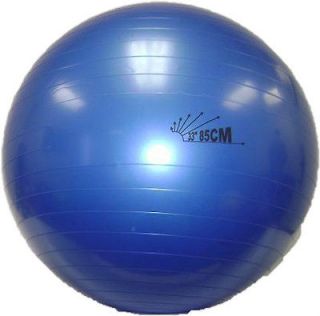 fitness ball in Exercise Balls