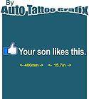   LIKES THIS Decal Sticker Car Truck Facebook Honda Mazda You Like This