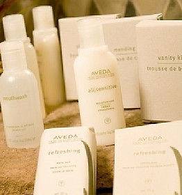 Aveda Travel lot shampoo conditioner facial cleanse body cleanse 