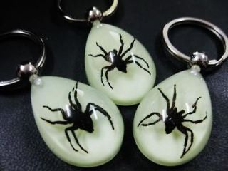 9pcs cool black spider fine insect key chains hot sale stylish jewelry