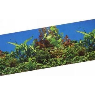 Aquarium Fish Tank Background by the foot ~ 19 Height ~ Aquatic Plant 