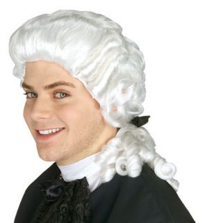judge wig in Wigs & Facial Hair