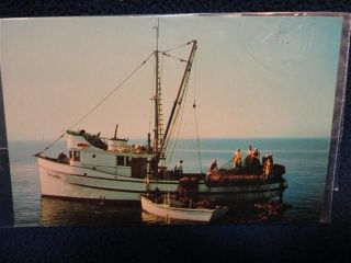 salmon fishing boats
