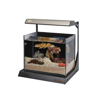 gallon fish tank in Aquariums