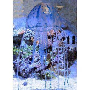   CLEAR LARGE 4 SW & FW TANK ORNAMENT JELLY FISH FREE SHIP USA