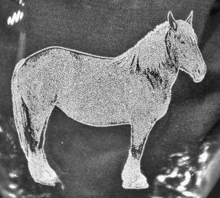 Belgian Draft Horse Laser Etched Glasses  CHOOSE your glass style