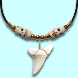 Awesome Mako Skull Shark Tooth Necklace ~ Hawaii teeth