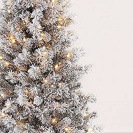 Newly listed 6.5 SNOW FLOCKED Pre Lit Christmas Tree 300 lights on 518 