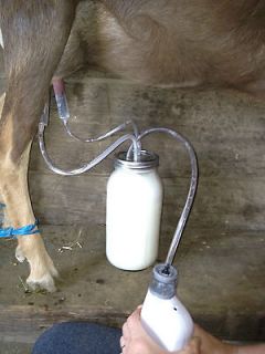 goat milking machines