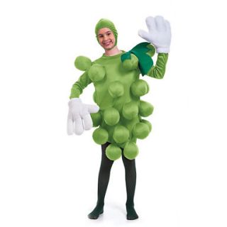Green Grapes Kids Fruit Halloween Costume ONE SIZE