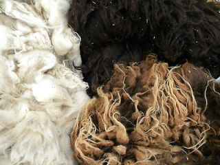 Shetland Sheep Raw Wool BROWN BLACK AND CREAM spinning weaving felting 