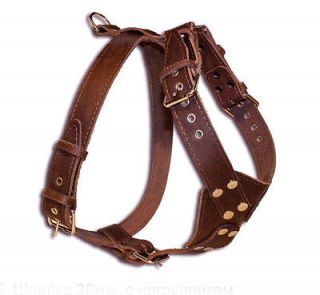   Quality Leather Walking Dog Harness 33 37 Large wide Straps 1.5