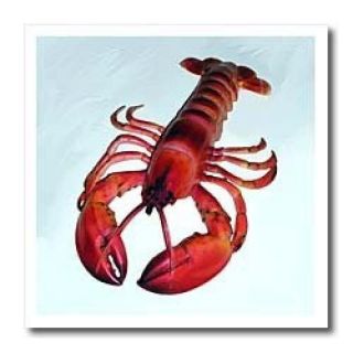 Lobster Iron on Heat Transfer Paper, 6 by 6 Inch New