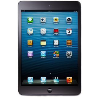 ipad mini in iPads, Tablets & eBook Readers