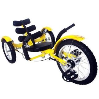 Mobo Mobito 16 3 WHEEL Trike Tricycle RECUMBENT Bike