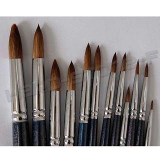 12 PCS Pointed Artist Paint Brushes For Oil Acrylic Short Handle