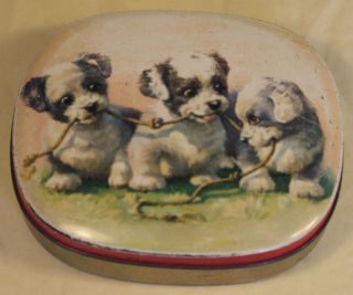 SUPERB VINTAGE THORNES TOFFEE TIN C1950S DOGS PUPPIES PLAYING WITH 