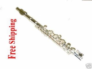 Professional P​iccolo Silver C Key School Band Brand New